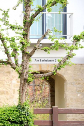  Alte Stadtmauer - Apartment  Зинсхайм